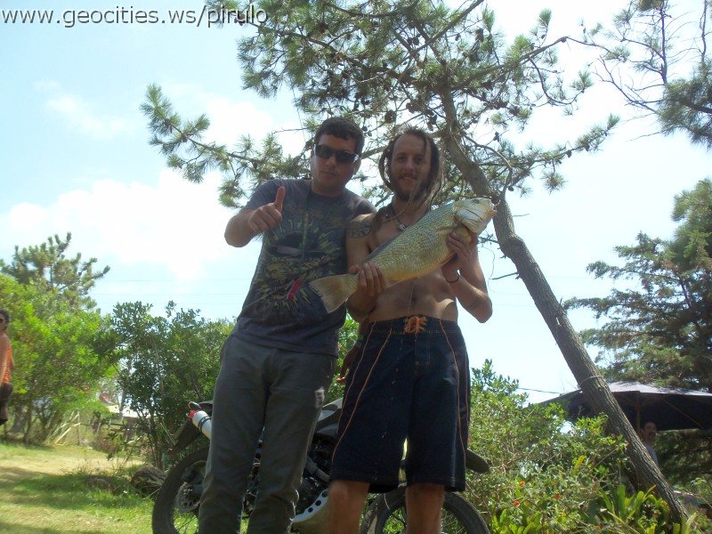 0555-geocities-ws-pirulo.jpg
