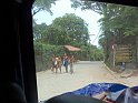 0361-geocities-ws-pirulo