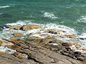 0473-geocities-ws-pirulo