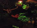 0545-geocities-ws-pirulo