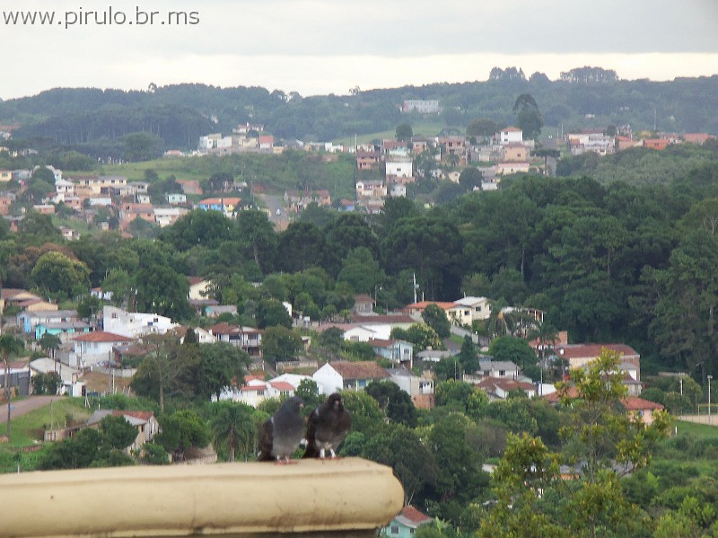 781_ww.pirulo.br.ms.jpg