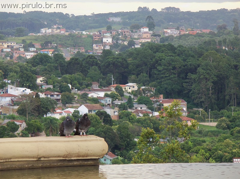 782_ww.pirulo.br.ms.jpg