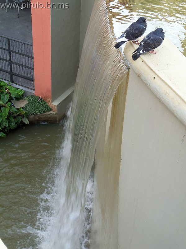 784_ww.pirulo.br.ms.jpg