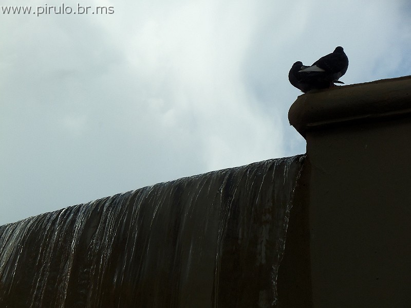 789_ww.pirulo.br.ms.jpg