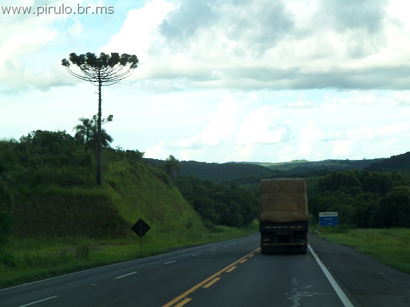 1008_ww.pirulo.br.ms.jpg
