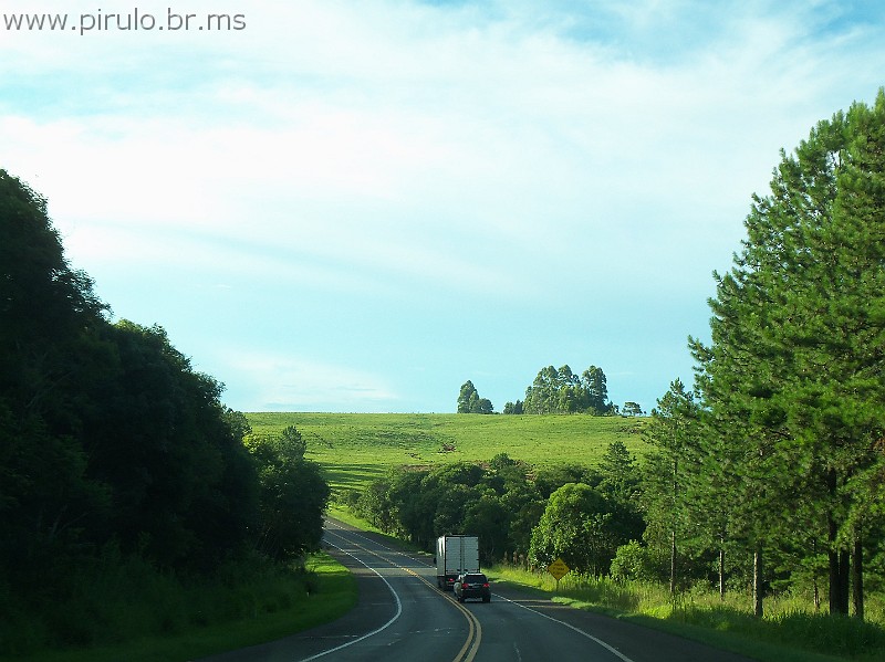 1038_ww.pirulo.br.ms.jpg
