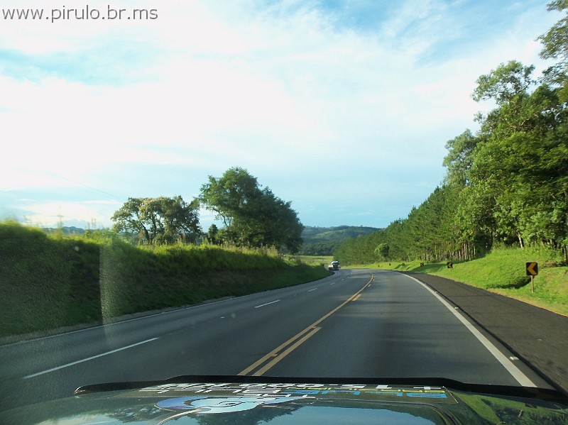 1044_ww.pirulo.br.ms.jpg