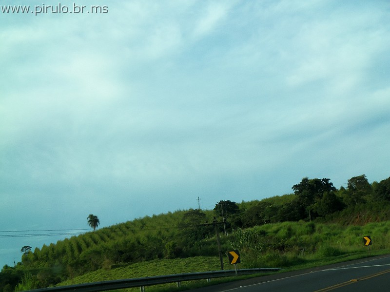 1050_ww.pirulo.br.ms.jpg