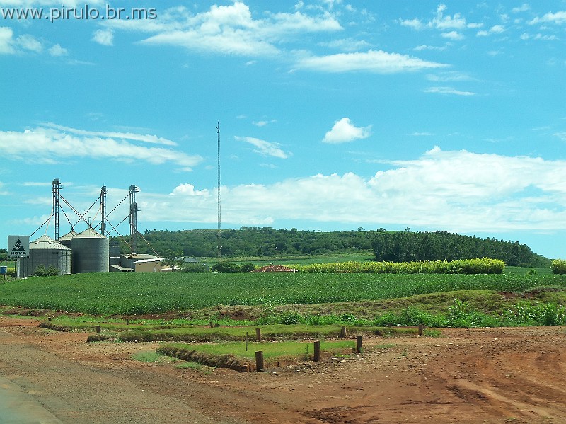 1129_ww.pirulo.br.ms.jpg