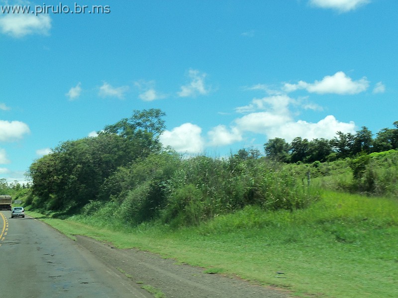 1131_ww.pirulo.br.ms.jpg