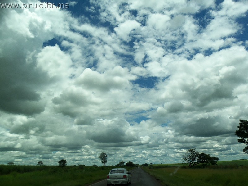 1156_ww.pirulo.br.ms.jpg