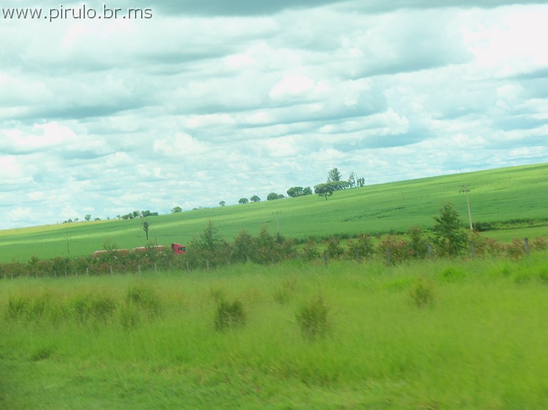 1157_ww.pirulo.br.ms.jpg