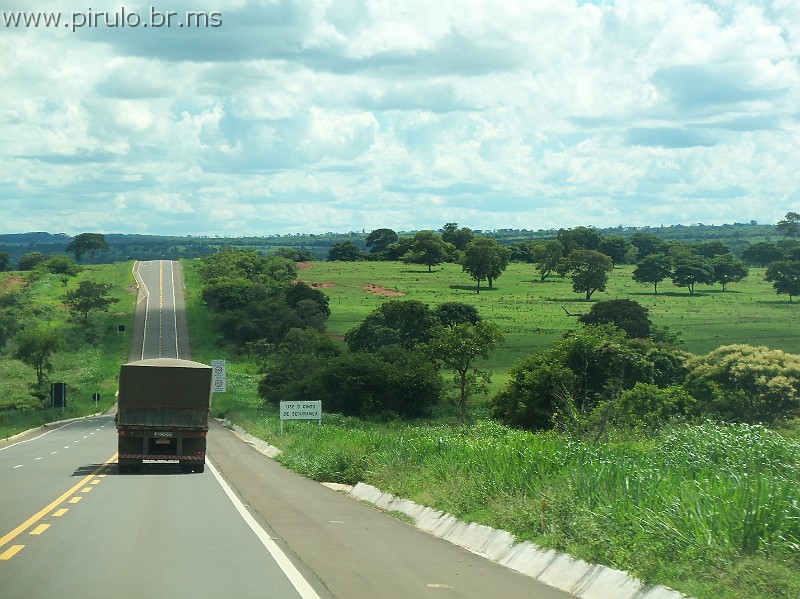 1244_ww.pirulo.br.ms.jpg