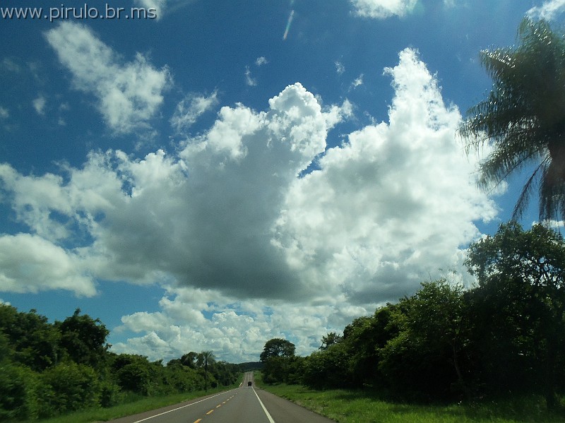 1251_ww.pirulo.br.ms.jpg