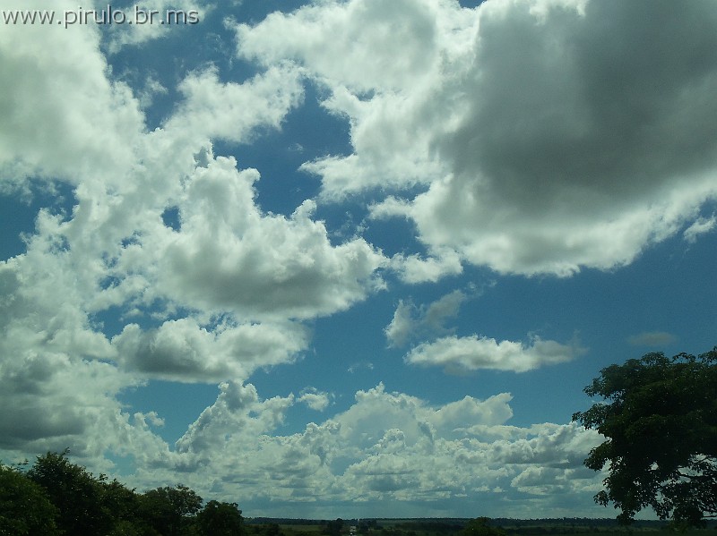 1254_ww.pirulo.br.ms.jpg