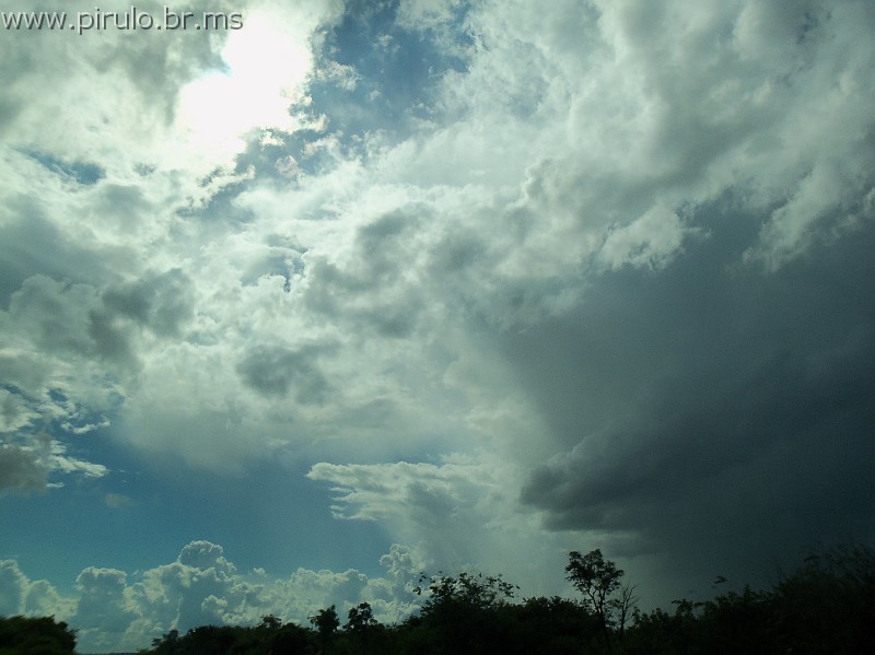 1262_ww.pirulo.br.ms.jpg