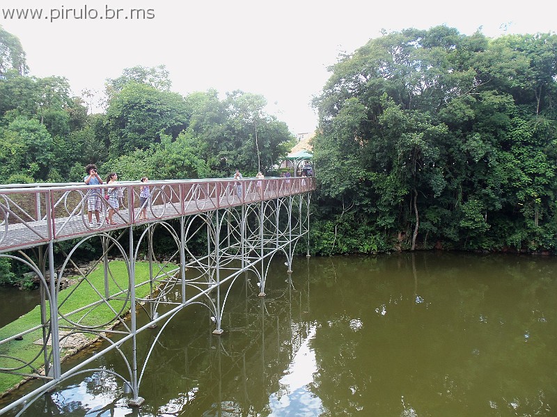 854_ww.pirulo.br.ms.jpg