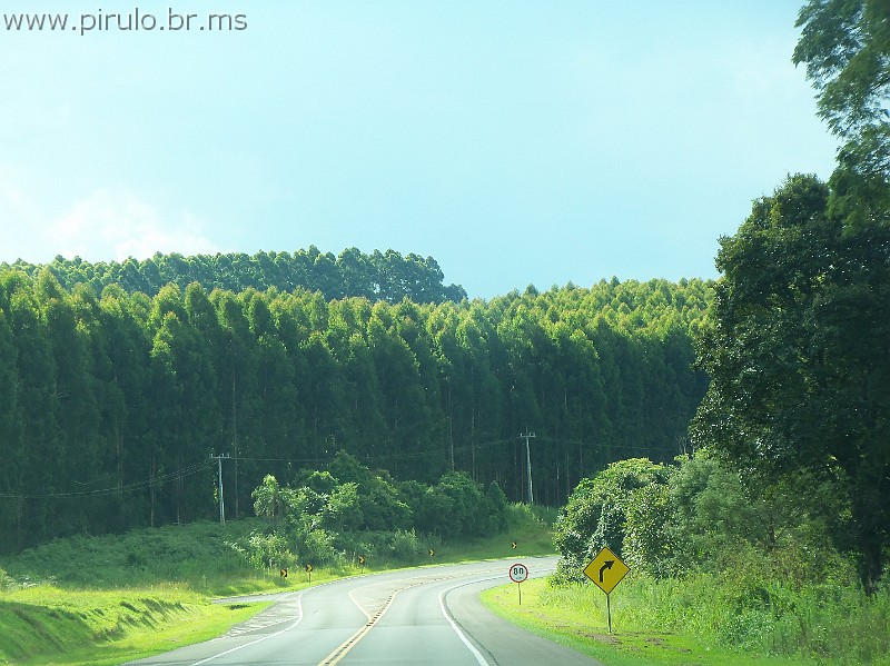 992_ww.pirulo.br.ms.jpg