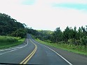 1028_ww.pirulo.br.ms