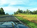 1029_ww.pirulo.br.ms