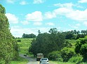 1130_ww.pirulo.br.ms