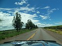 1139_ww.pirulo.br.ms
