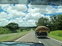 1167_ww.pirulo.br.ms