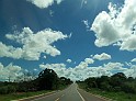 1241_ww.pirulo.br.ms