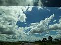 1252_ww.pirulo.br.ms