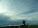 1267_ww.pirulo.br.ms