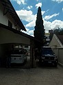 824_ww.pirulo.br.ms