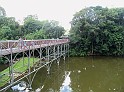 854_ww.pirulo.br.ms