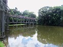 856_ww.pirulo.br.ms