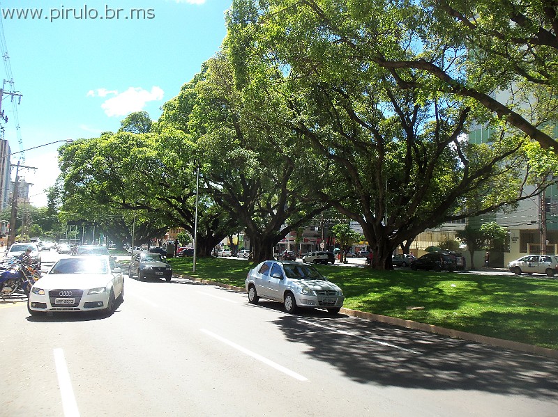1333_ww.pirulo.br.ms.jpg