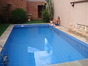 1548_ww.pirulo.br.ms
