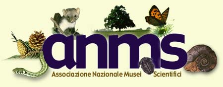 Visita il sito web dell'Associazione Nazionale Musei Scientifici