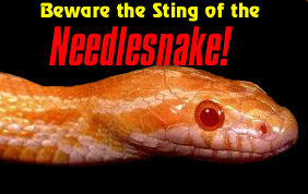 Beware the Needlesnake!