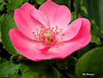 DSCN0055.JPG