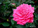 DSCN0838.JPG