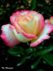 DSCN0741.JPG