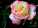DSCN0742.JPG
