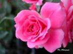 DSCN0850.JPG