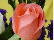 �ӹ� .....�ӡ��  ��...��Ǵ��
