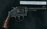 tiredwarhorse.jpg