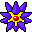 Starmie