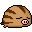 Swinub