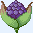 Cornn Berry