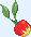 Leppa Berry