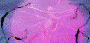 Mewtwo's powers are harnessed