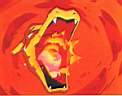 Charizard is stuck